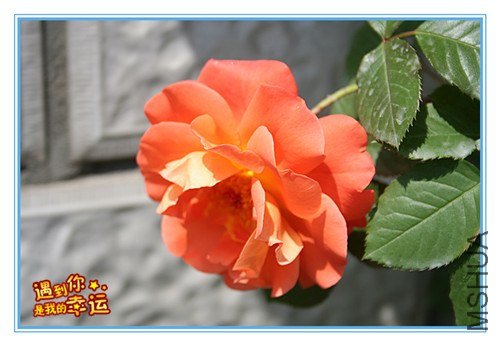 ��Ƭ 063_����.jpg