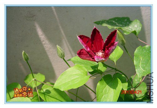 ��Ƭ 100_����.jpg