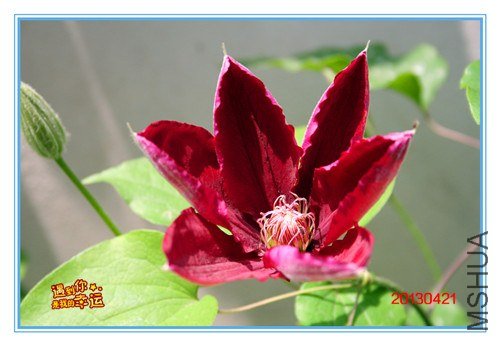 ��Ƭ 101_����.jpg