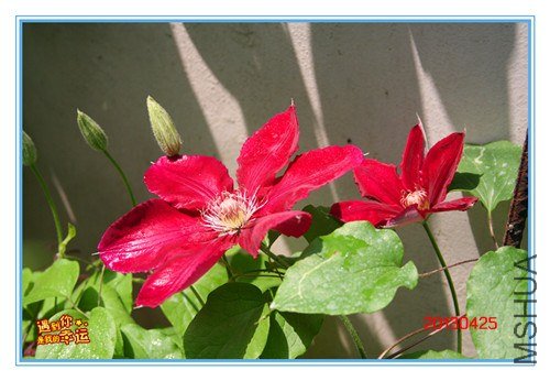 ��Ƭ 102_����.jpg