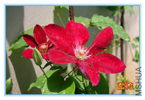 ��Ƭ 103_����.jpg