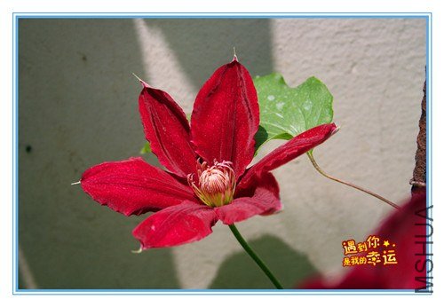 ��Ƭ 106_����.jpg