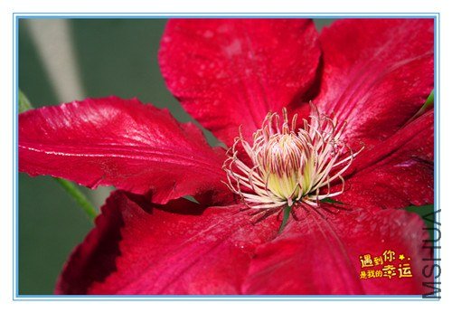 ��Ƭ 107_����.jpg