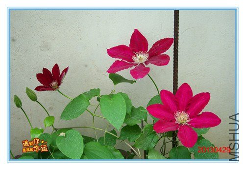 ��Ƭ 107A_����.jpg