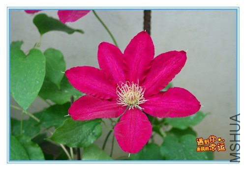 ��Ƭ 107B_����.jpg