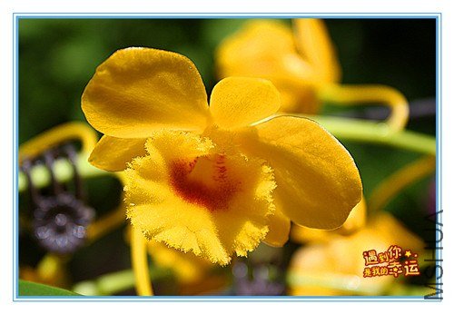 ��Ƭ 039_����.jpg