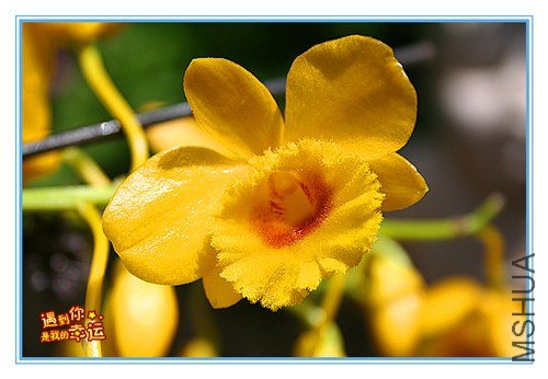 ��Ƭ 042_����.jpg