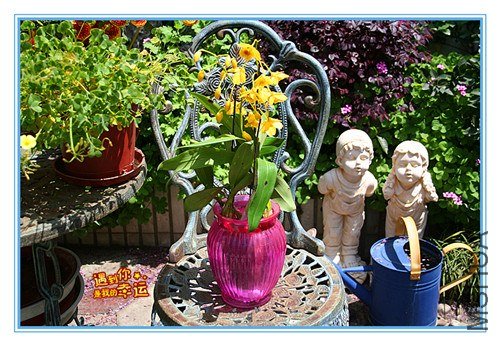 ��Ƭ 036_����.jpg