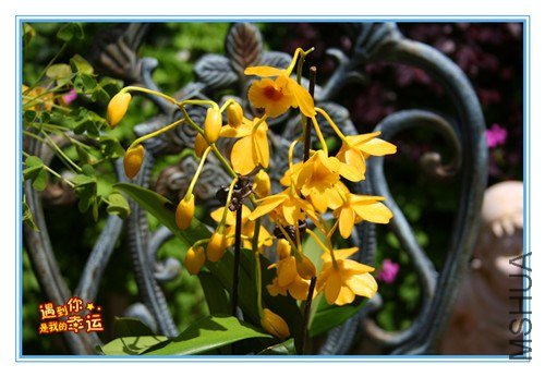 ��Ƭ 037_����.jpg