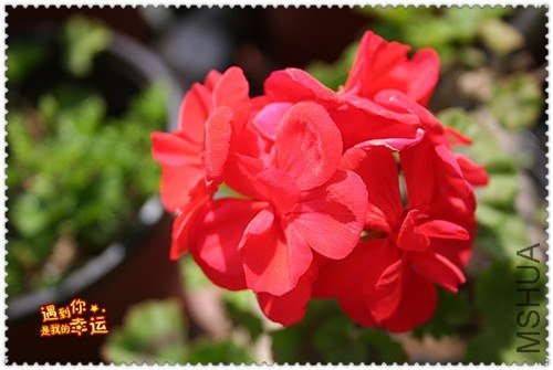 ��Ƭ 062_����.jpg