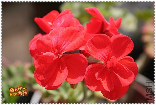 ��Ƭ 063_����.jpg