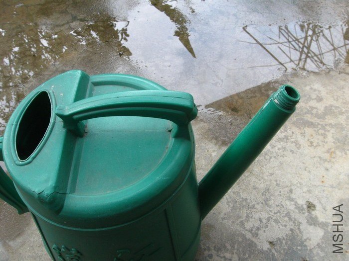 nEO_IMG_1111 023.jpg