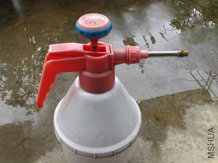 nEO_IMG_1111 022.jpg