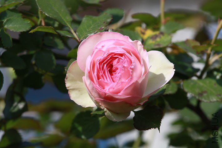 IMG_5624.JPG