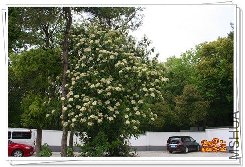 ��Ƭ 059_����.jpg