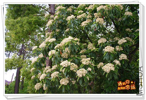 ��Ƭ 060_����.jpg