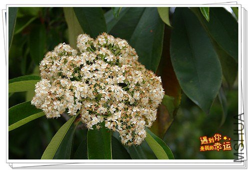 ��Ƭ 061_����.jpg