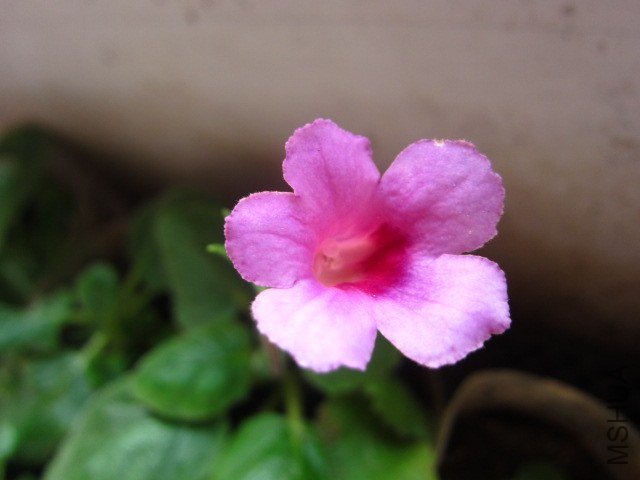 ��Ƭ 010.jpg