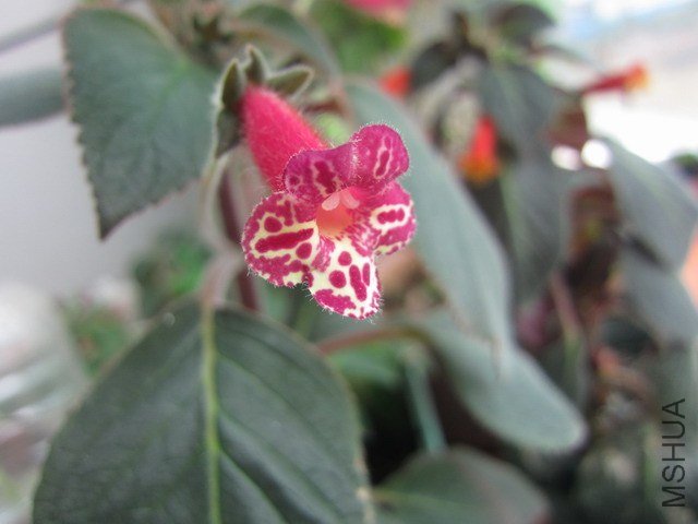 ��Ƭ 038.jpg