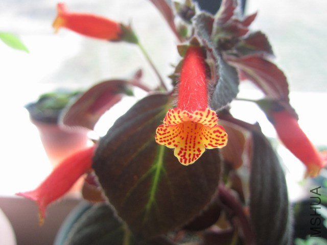 ��Ƭ 040.jpg