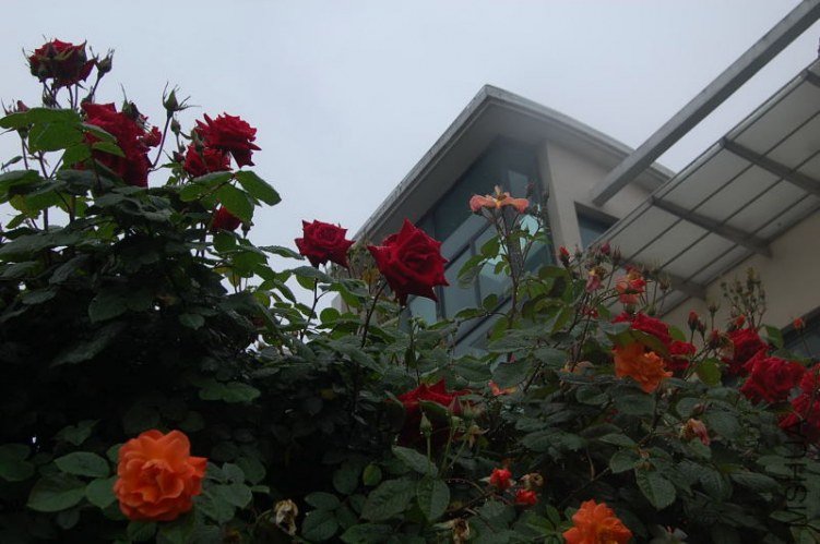 DSC_00400040.JPG