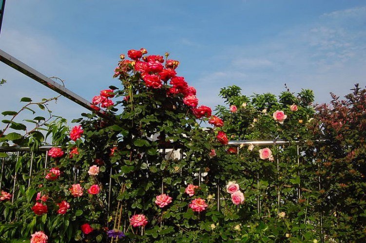DSC_02160216.JPG