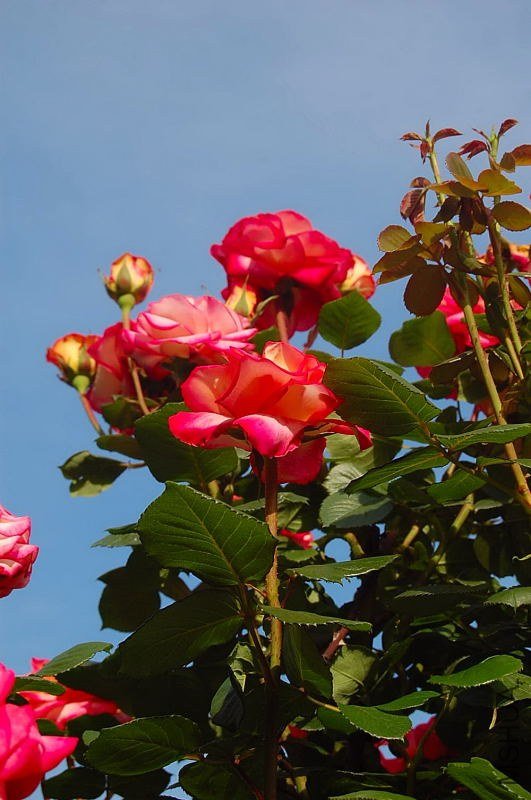 DSC_02180218.JPG