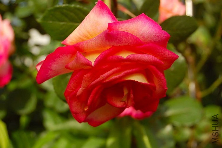 DSC_02200220.JPG