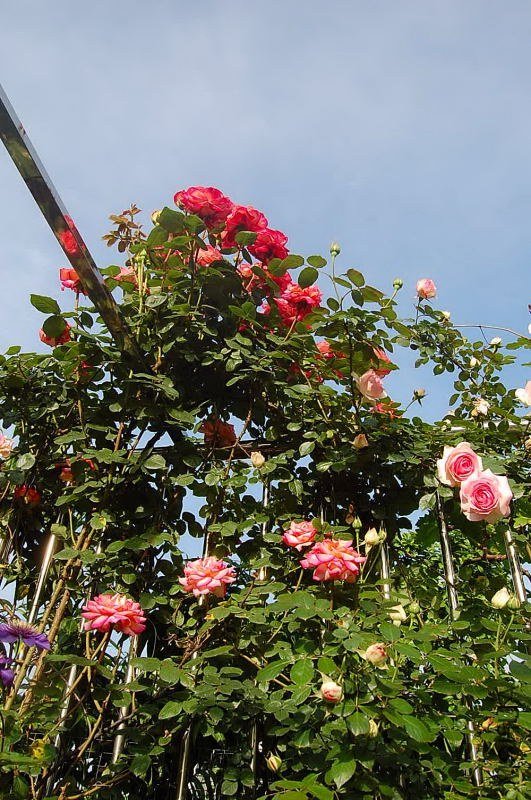 DSC_02120212.JPG