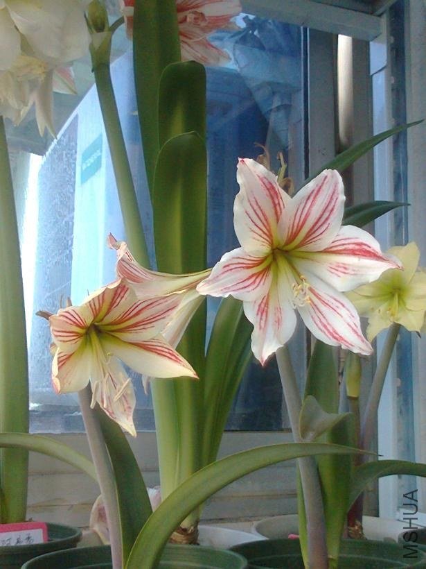 ��Ƭ0645.jpg
