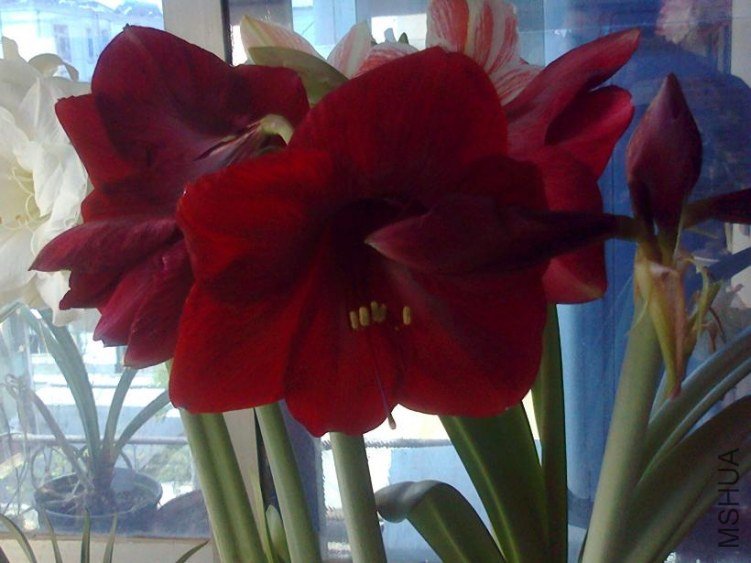 ��Ƭ0648.jpg