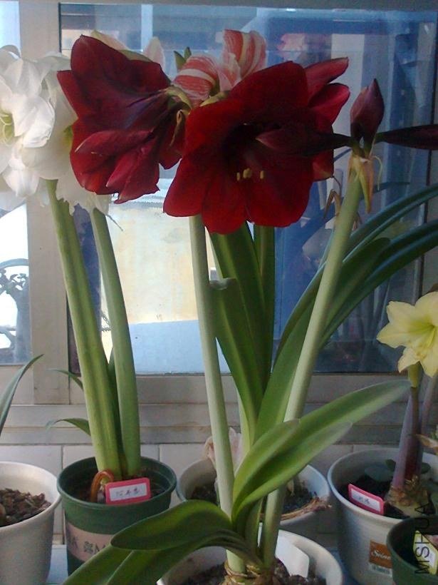 ��Ƭ0649.jpg