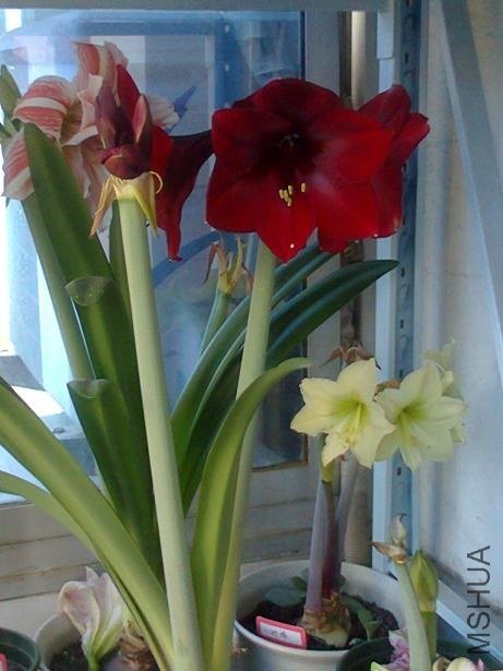 ��Ƭ0650.jpg
