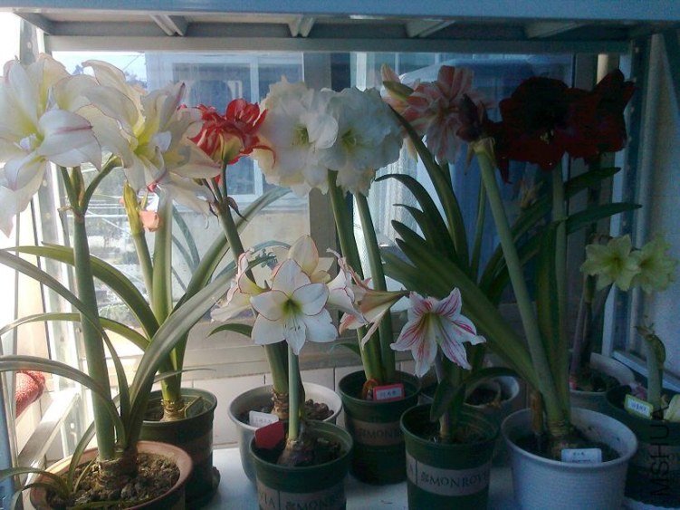 ��Ƭ0655.jpg