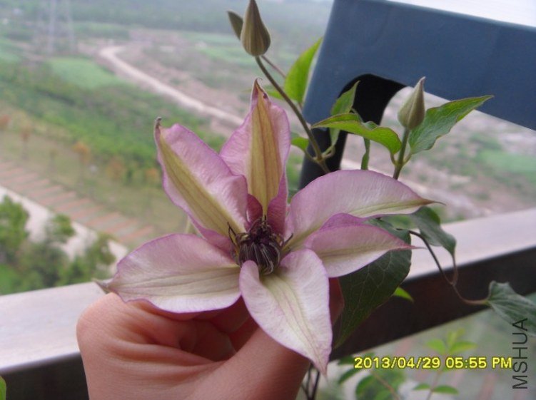 QQ��ͼ20130501123743.jpg