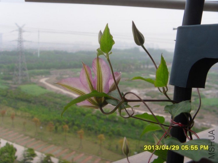QQ��ͼ20130501123733.jpg