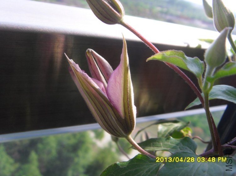 QQ��ͼ20130501123721.jpg
