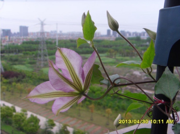 QQ��ͼ20130501123832.jpg