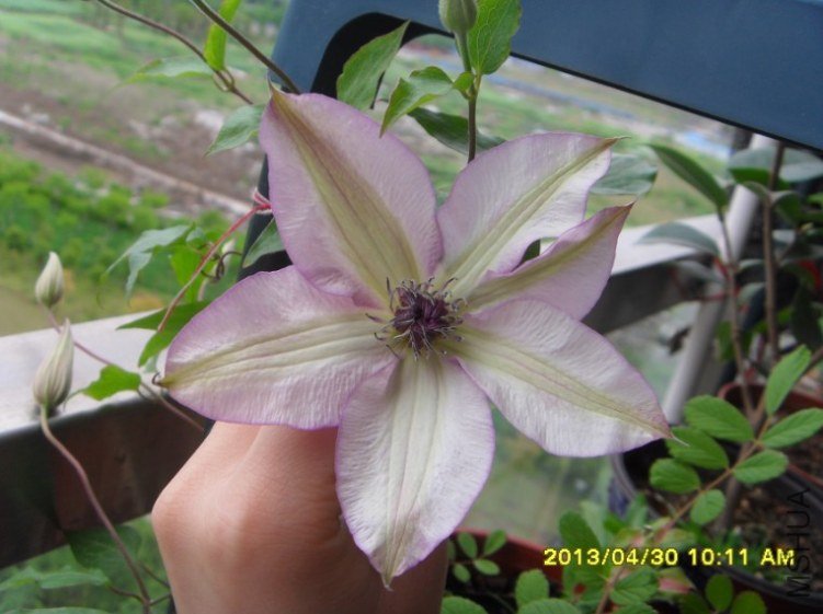 QQ��ͼ20130501123822.jpg
