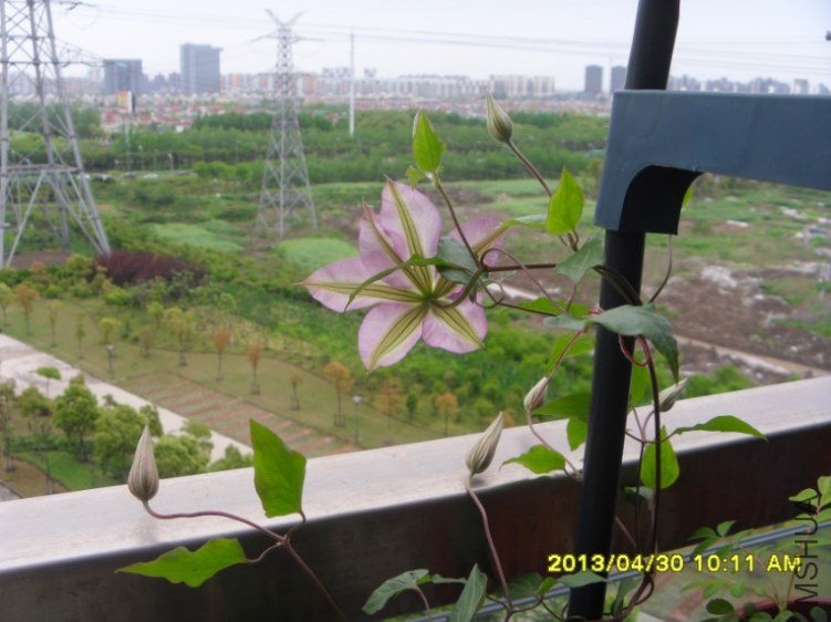 QQ��ͼ20130501123810.jpg