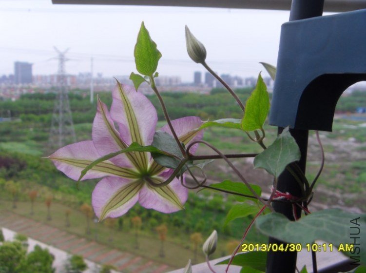 QQ��ͼ20130501123800.jpg