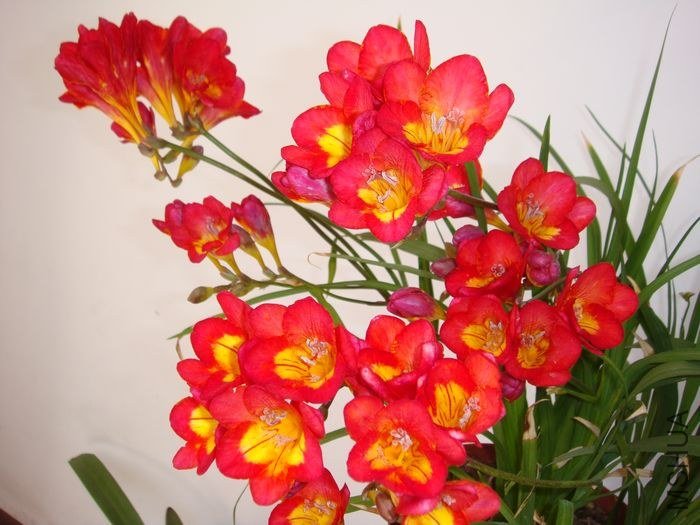 DSC06329.JPG