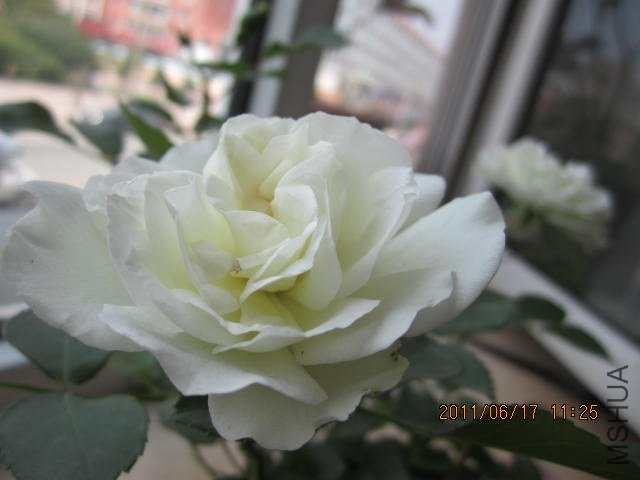 IMG_1483.JPG