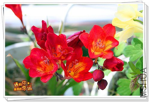 ��Ƭ 007_����.jpg