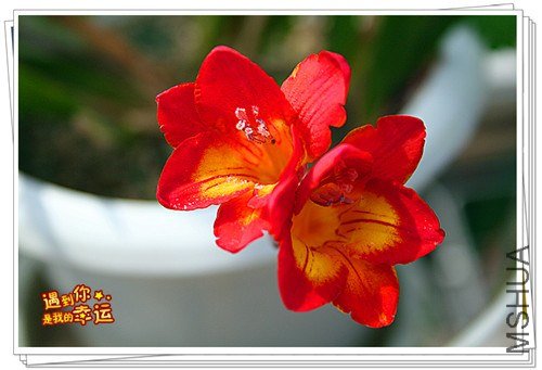 ��Ƭ 009_����.jpg