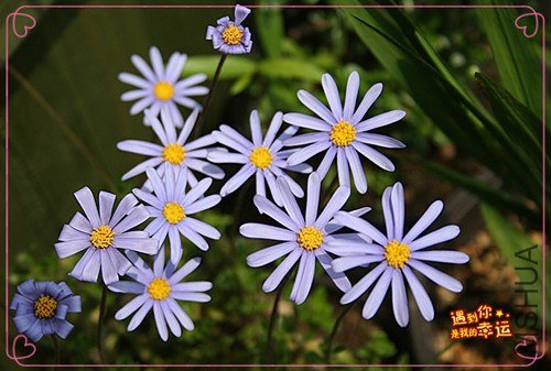 ��Ƭ 016_����.jpg