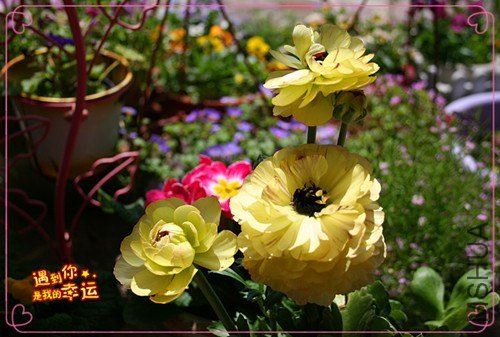 ��Ƭ 019_����.jpg