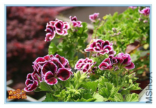 ��Ƭ 018_����.jpg