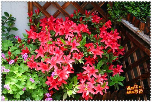 ��Ƭ 051_����.jpg