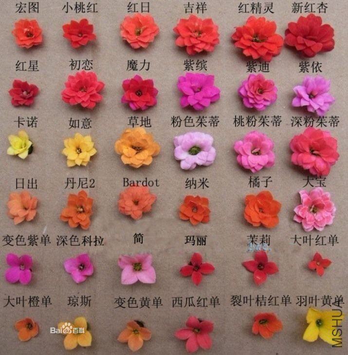 0df431adcbef760971d898902fdda3cc7dd98d1000e9bed1.jpg